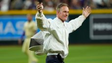 Bee delay causes quite a buzz in baseball world