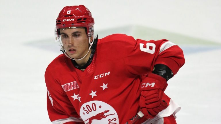 Soo Greyhounds defenceman Andrew Gibson (OHL Images)
