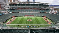 Ohio bill would require pro teams to play on natural grass, not artificial turf