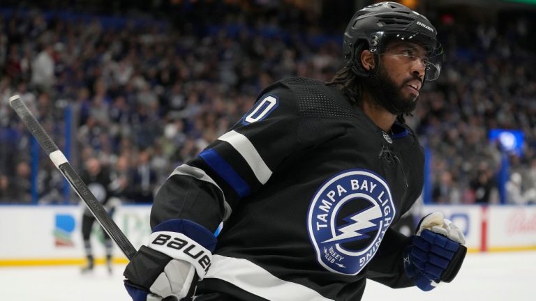 Tampa Bay Lightning left wing Anthony Duclair celebrates after scoring against the Toronto Maple Leafs during the second period of an NHL hockey game Wednesday, April 17, 2024, in Tampa, Fla. (Chris O'Meara/AP Photo)