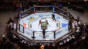 Two fighters compete in a mixed martial arts bout during a UFC event. (Wade Vandervort/Las Vegas Sun via AP)