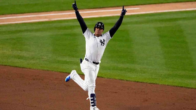 Волосатые письки порно клиптер