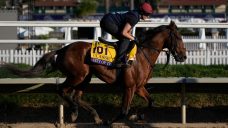 Breeders’ Cup Classic on Sportsnet
