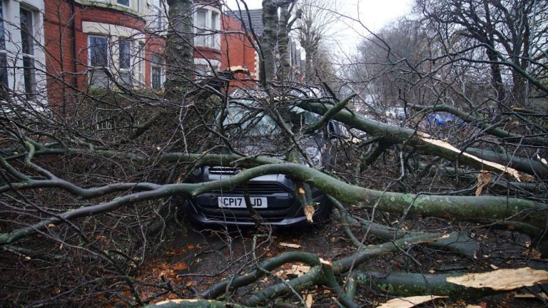 A car is seen underneath a fallen tree in Liverpool, England, during storm Darragh, Saturday, Dec. 7, 2024. (Peter Byrne/PA via AP)