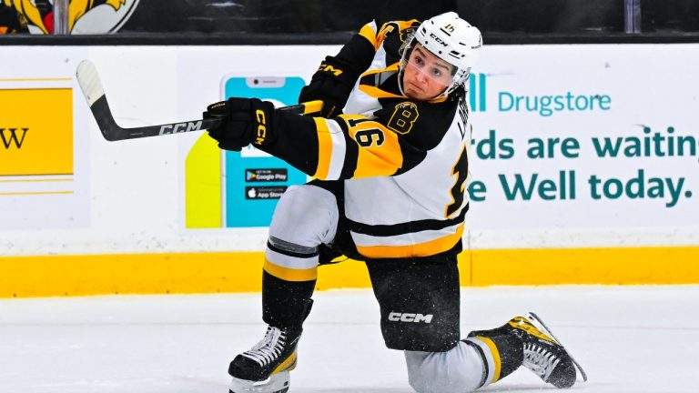 Brantford Bulldogs forward Nick Lardis. (OHL Images)