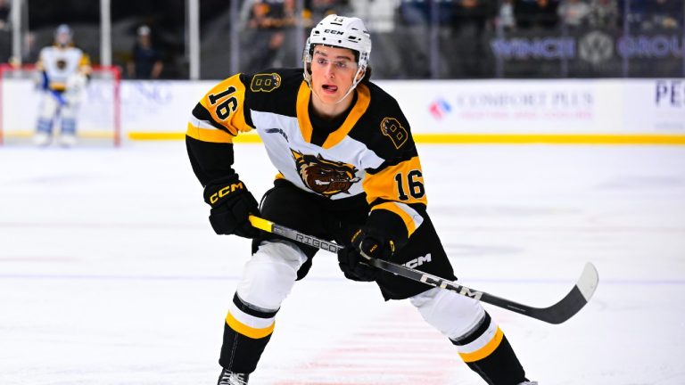 Nick Lardis of the Brantford Bulldogs. (Brandon Taylor/ OHL Images)