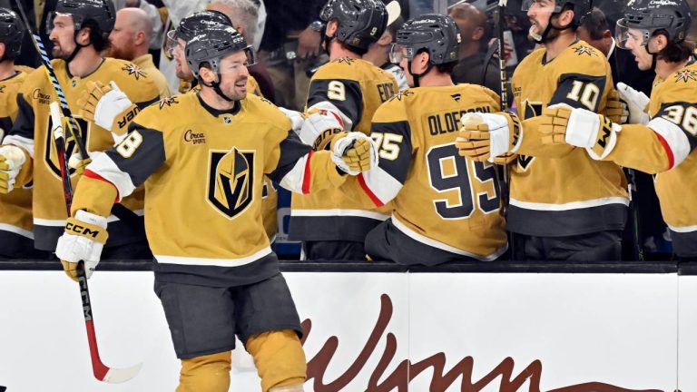 Vegas Golden Knights centre Tomas Hertl (48) celebrates his goal during an NHL hockey game. (AP Photo/David Becker)