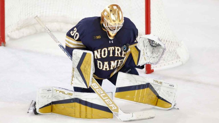 Notre Dame goalkeeper Owen Say makes a stop against Michigan during an NCAA hockey game. (Al Goldis/AP)