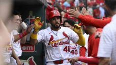 Ivan Herrera hits three home runs to help Cardinals beat Angels