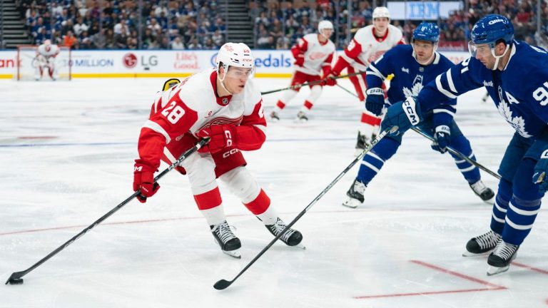 Detroit Red Wings' Michael Brandsegg-Nygard defends the puck during third period pre-season NHL action in Toronto on Saturday, October 5, 2024. (THE CANADIAN PRESS/Arlyn McAdorey)