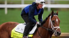 Kentucky Derby: How to watch, the favourites and what to expect