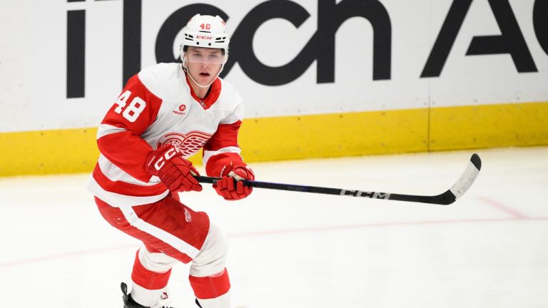 Detroit Red Wings right wing Jonatan Berggren (48) in action during the third period of an NHL hockey game against the Washington Capitals, Tuesday, March 18, 2025, in Washington. (Nick Wass/AP)