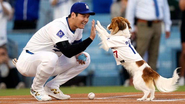 Los Angeles Dodgers' Shohei Ohtani congratulates his dog Decoy after Decoy delivered the ceremonial first pitch prior to a baseball game between the Dodgers and the Baltimore Orioles, Wednesday, Aug. 28, 2024, in Los Angeles. (AP Photo/Mark J. Terrill)