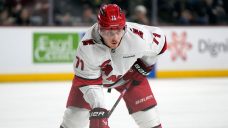 Carolina Hurricanes hire Jesper Fast as devleopment coach