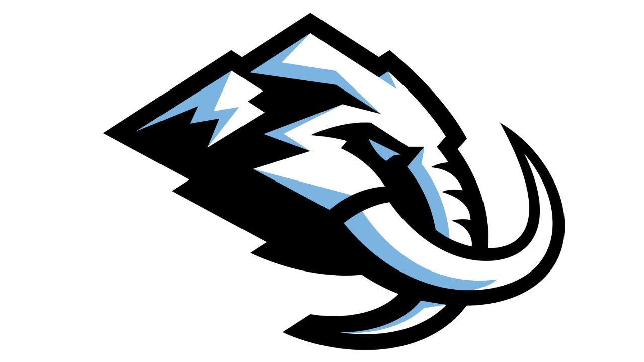 Utah Mammoth files lawsuit in trademark dispute with hockey equipment bag manufacturer