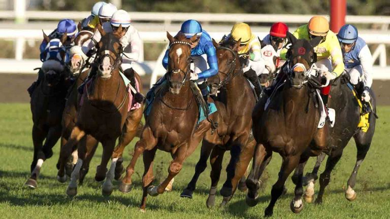 Jockey Rafael Hernandez, centre in blue, guides Tom's Magic to victory in the 135th running of the $400,000 dollar Breeders' Stakes at Woodbine Racetrack, in Toronto, in a Sunday, Sept. 28, 2025, handout photo. THE CANADIAN PRESS/Handout - Woodbine Entertainment, Michael Burns