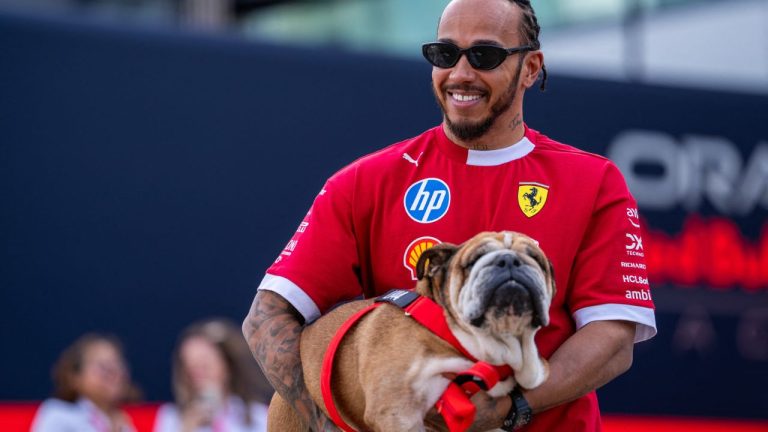 Lewis Hamilton and Roscoe Hamilton during the Formula 1 Qatar Airways British Grand Prix 2025 on Friday at the Silverstone International Circuit, Silverstone, Great Britain on July 4, 2025 (Antoine Lapeyre / ABACAPRESS.COM)