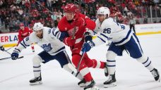 Maple Leafs fall to Red Wings in OT to close pre-season