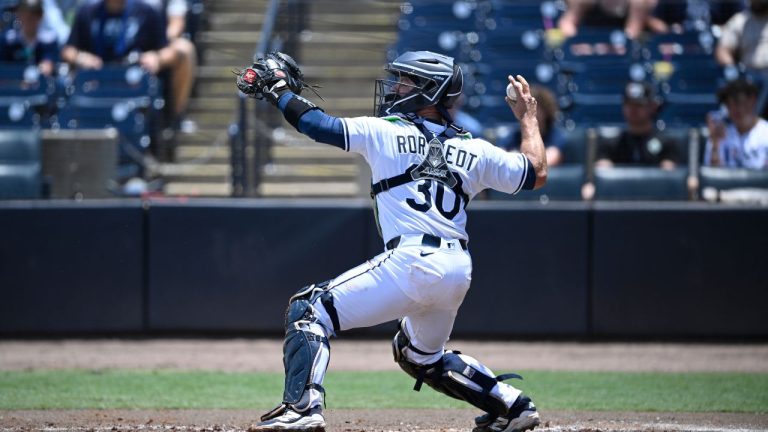 Tampa Bay Rays catcher Ben Rortvedt during the second inning of a baseball game against the Toronto Blue Jays, Sunday, May 25, 2025, in Tampa, Fla. (AP Photo/Phelan M. Ebenhack)