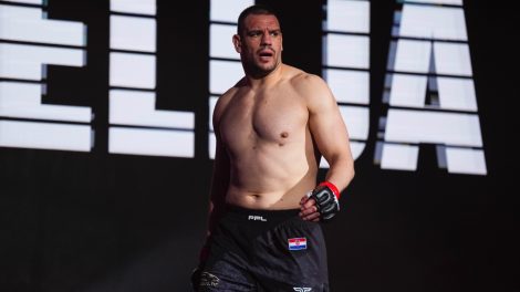 Heavyweight-mixed-martial-artist-Ante-Delija