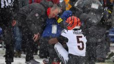 Bengals WR Tee Higgins out vs. Ravens with concussion