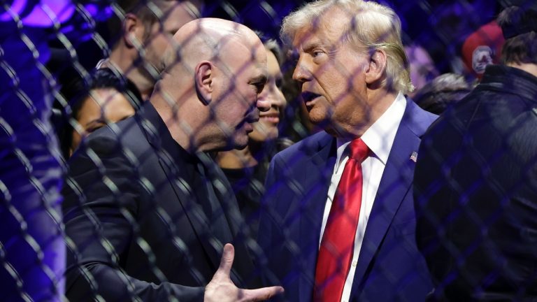 Dana White, left, talks to Donald Trump during UFC 309 in 2024 in New York. (Adam Hunger/AP)