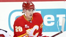 Whitecloud parachutes in for impressive Flames debut