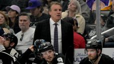 Maple Leafs hire Jim Hiller as head coach