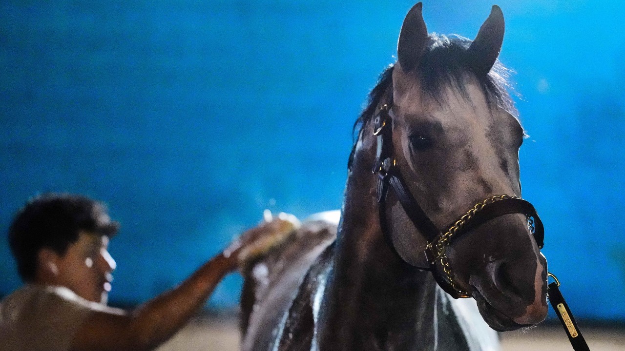 Fulleffort scratched from Kentucky Derby, putting Ocelli into the race