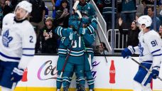 ‘They were buzzing’: Speedy Sharks remind of Maple Leafs’ fun past