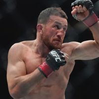 Merab-Dvalishvili-during-the-second-round-of-a-UFC-bantamweight-title-bout