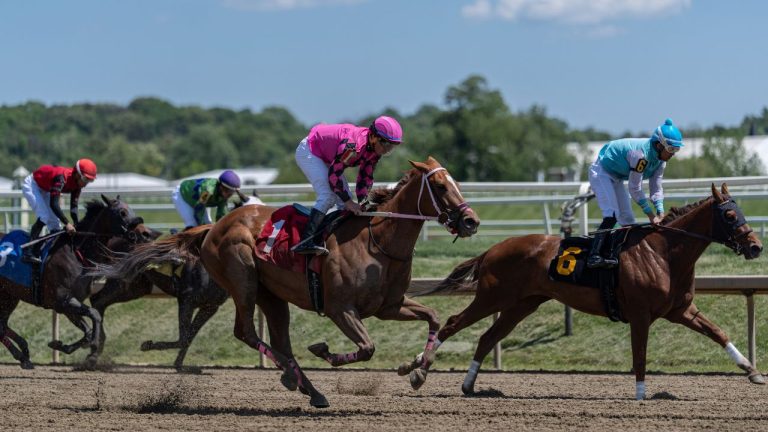 Jockeys race horses during Laurel Park's Preakness Meet, Friday, May 8, 2026, in Laurel, Md. (Julia Demaree Nikhinson/AP)