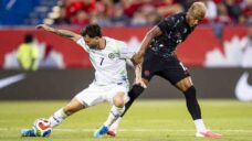 Crepeau leads Canada to draw against Ireland in World Cup tune-up