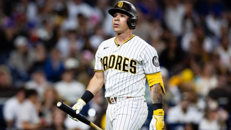San Diego Padres' Freddy Fermin looks on during a baseball game against the New York Mets, Saturday, June 6, 2026, in San Diego. (AP Photo/Derrick Tuskan)