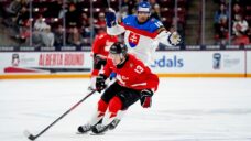 Maple Leafs take defencemen Alexander Bilecki, Ethan MacKenzie at draft