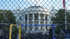 ‘Wildly challenging’: How UFC plans to pull off White House event