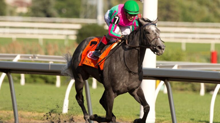 Jockey John Velazquez guides Luster to victory in the 71st running of the $500,000 Woodbine Oaks, in Toronto on Sunday, July 19, 2026, (Michael Burns/Woodbine Entertainment)