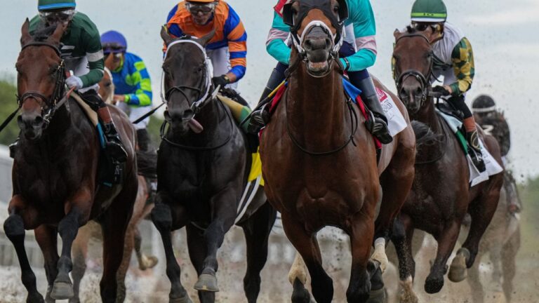 Taj Mahal and other horses compete during the 151st running of the Preakness Stakes horse race on May 16, 2026, at Laurel Park in Laurel, Md. (Julia Demaree Nikhinson/AP)