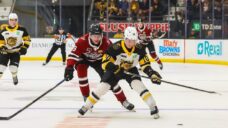 Why Spencer Hyman’s Brantford Bulldogs are the surprise of OHL