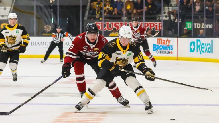 Brantford Bulldogs forward Jason Musa (right) in action against the Guelph Storm. (Pro/Am Images)